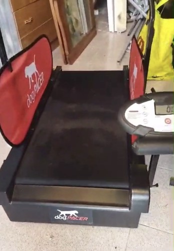 Dogpacer tapis roulant per - tapis,